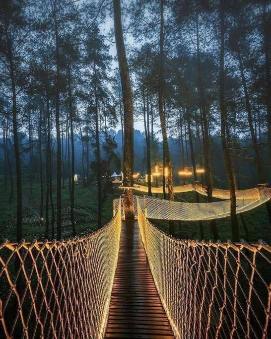세비어빌 The Log Castle~Stunning Mountain Views~Hot Tub 빌라 외부 사진
